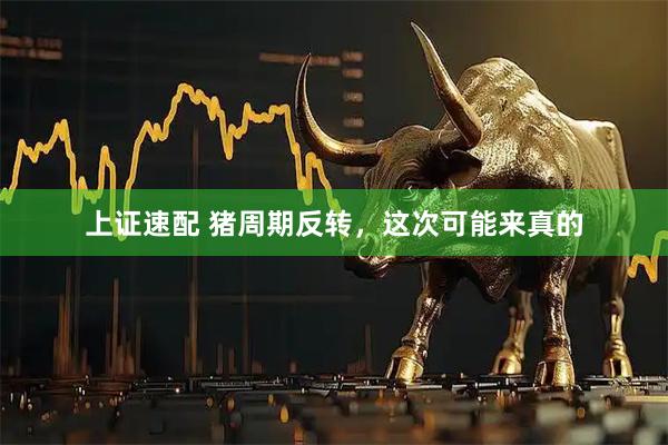 上证速配 猪周期反转，这次可能来真的