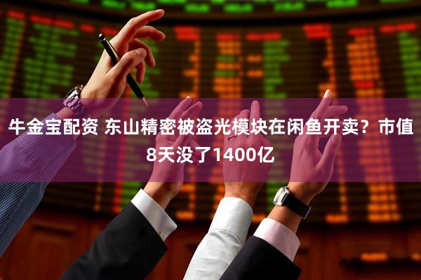 牛金宝配资 东山精密被盗光模块在闲鱼开卖？市值8天没了1400亿