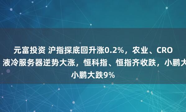 元富投资 沪指探底回升涨0.2%，农业、CRO爆发，液冷服务器逆势大涨，恒科指、恒指齐收跌，小鹏大跌9%